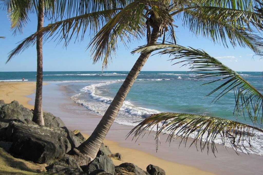 Comfortable And Affordable Deal Close To Beach And Rainforest Рио-Гранде Экстерьер фото